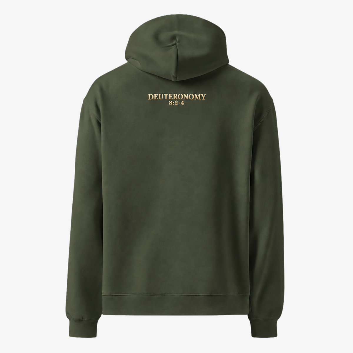 An olive green pullover hoodie shown from the back, featuring a white graphic print with the text 'NITPICK' and 'And Here We Go' inside a rectangular outline.