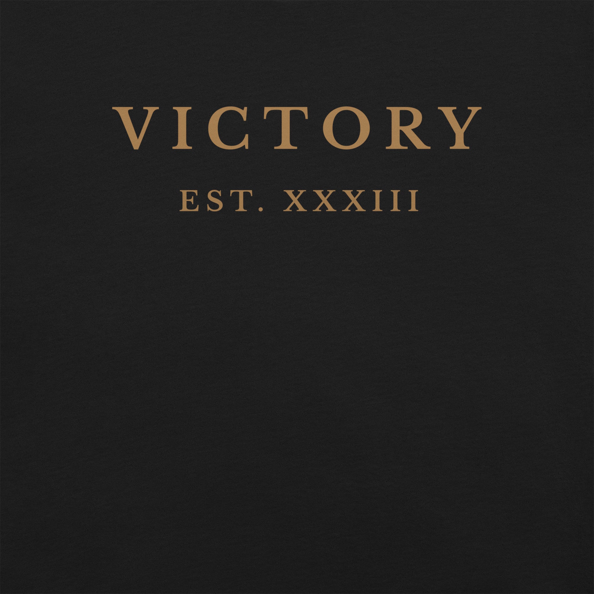Victory Hoodie