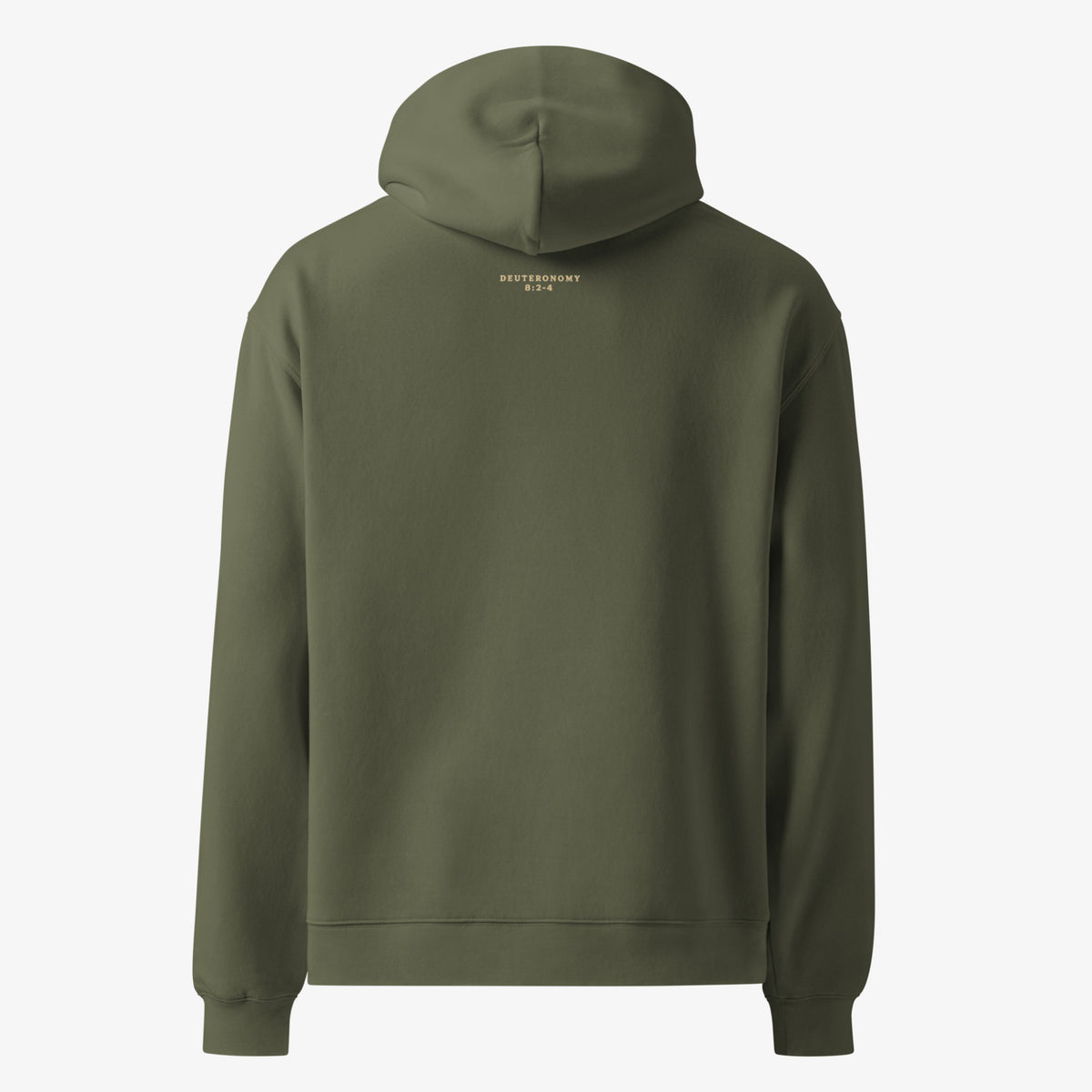 Back view of Sustained Hoodie.